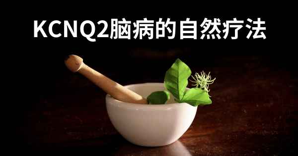 KCNQ2脑病的自然疗法