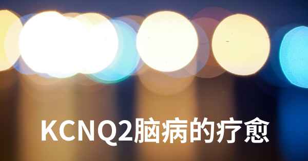 KCNQ2脑病的疗愈