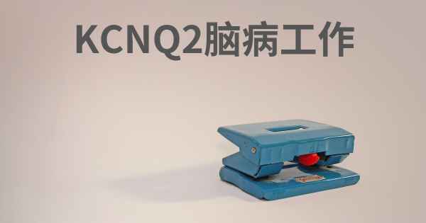 KCNQ2脑病工作