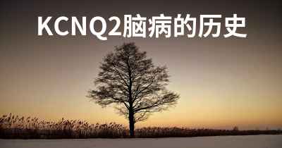 KCNQ2脑病的历史