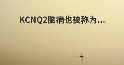 KCNQ2脑病也被称为...