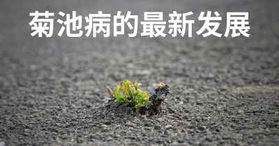 菊池病的最新发展