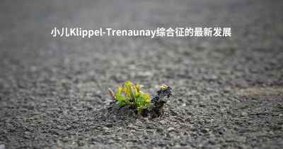 小儿Klippel-Trenaunay综合征的最新发展