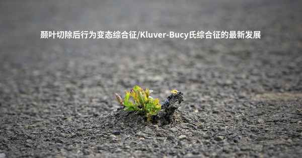 颞叶切除后行为变态综合征/Kluver-Bucy氏综合征的最新发展