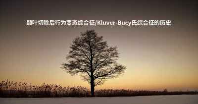 颞叶切除后行为变态综合征/Kluver-Bucy氏综合征的历史