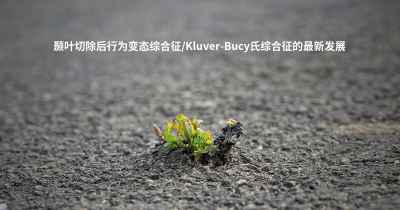 颞叶切除后行为变态综合征/Kluver-Bucy氏综合征的最新发展
