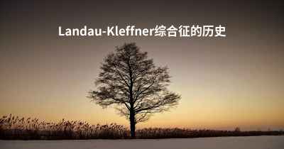 Landau-Kleffner综合征的历史