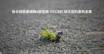 极长链酰基辅酶A脱氢酶 (VLCAD) 缺乏症的最新发展