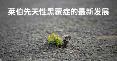 莱伯先天性黑蒙症的最新发展