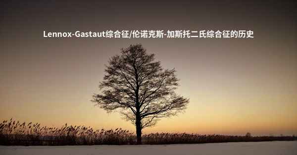 Lennox-Gastaut综合征/伦诺克斯-加斯托二氏综合征的历史