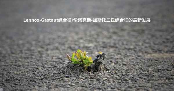 Lennox-Gastaut综合征/伦诺克斯-加斯托二氏综合征的最新发展