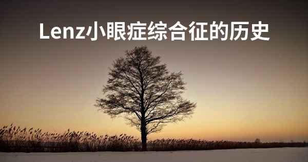 Lenz小眼症综合征的历史