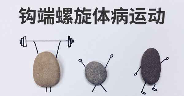 钩端螺旋体病运动