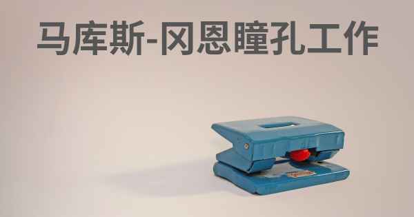 马库斯-冈恩瞳孔工作