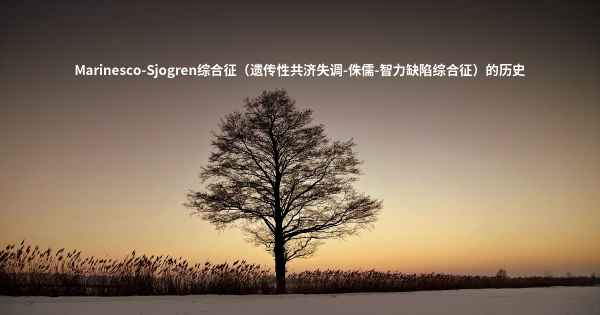 Marinesco-Sjogren综合征（遗传性共济失调-侏儒-智力缺陷综合征）的历史