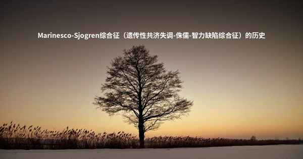 Marinesco-Sjogren综合征（遗传性共济失调-侏儒-智力缺陷综合征）的历史