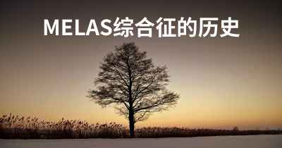 MELAS综合征的历史