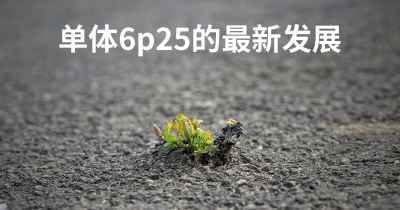 单体6p25的最新发展