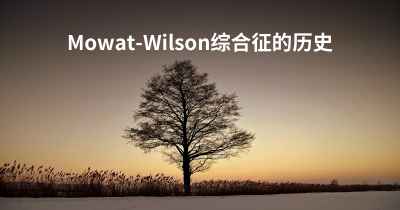 Mowat-Wilson综合征的历史