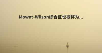 Mowat-Wilson综合征也被称为...