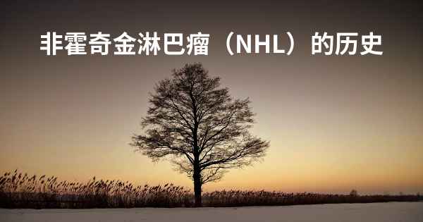 非霍奇金淋巴瘤（NHL）的历史