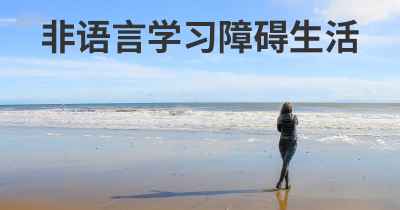 非语言学习障碍生活