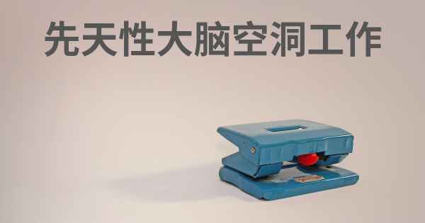 先天性大脑空洞工作