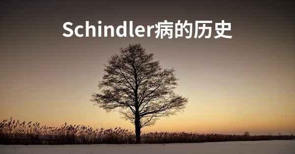 Schindler病的历史