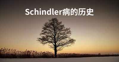 Schindler病的历史