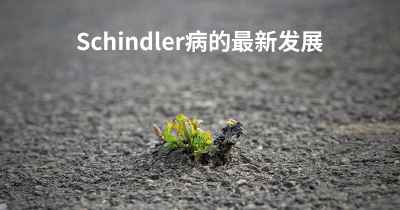 Schindler病的最新发展