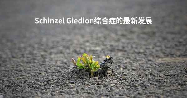 Schinzel Giedion综合症的最新发展