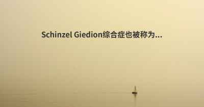 Schinzel Giedion综合症也被称为...