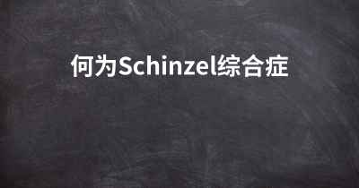 何为Schinzel综合症