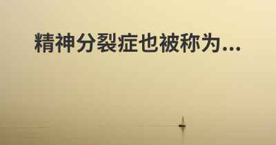 精神分裂症也被称为...