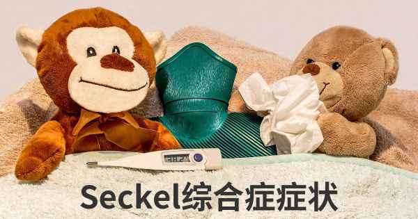 Seckel综合症症状