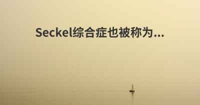 Seckel综合症也被称为...