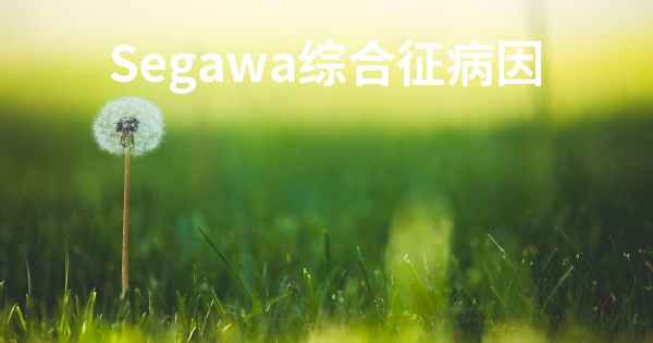 Segawa综合征病因