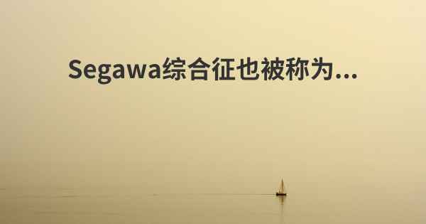 Segawa综合征也被称为...