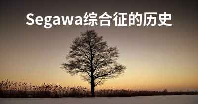 Segawa综合征的历史