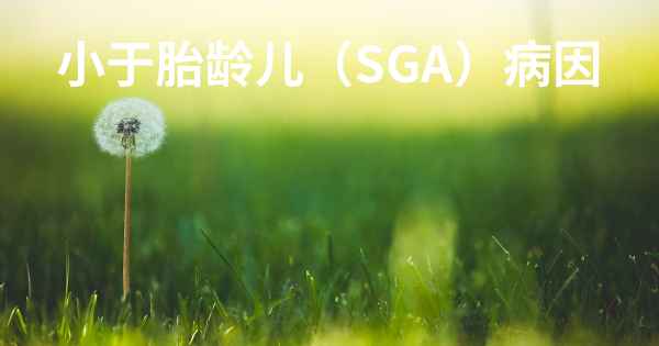 小于胎龄儿（SGA）病因