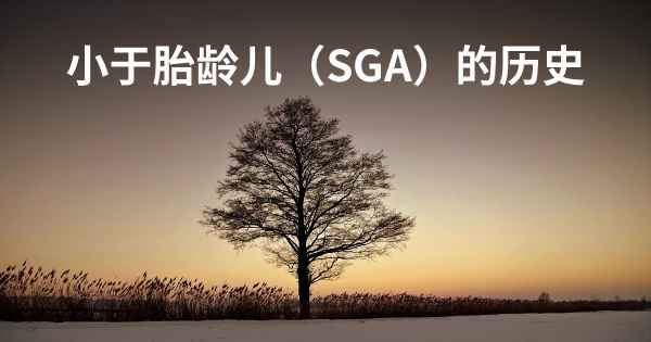 小于胎龄儿（SGA）的历史