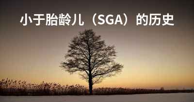 小于胎龄儿（SGA）的历史