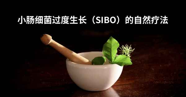 小肠细菌过度生长（SIBO）的自然疗法