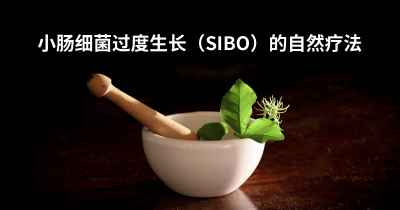 小肠细菌过度生长（SIBO）的自然疗法