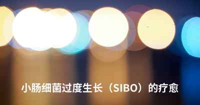 小肠细菌过度生长（SIBO）的疗愈