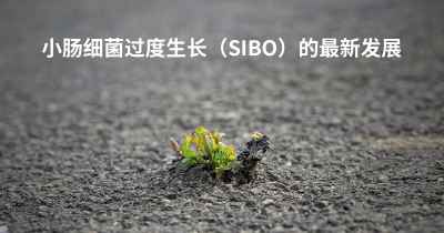 小肠细菌过度生长（SIBO）的最新发展