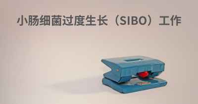 小肠细菌过度生长（SIBO）工作