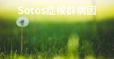 Sotos症候群病因