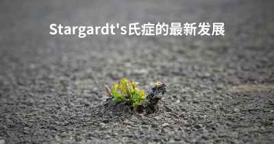 Stargardt's氏症的最新发展