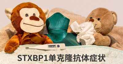 STXBP1单克隆抗体症状